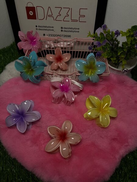 Hair clips