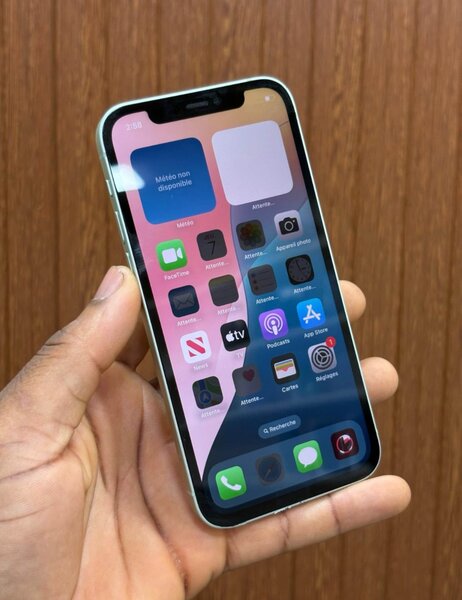 iPhone 12 simple 64GB Vert