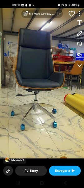 Chaises de bureau