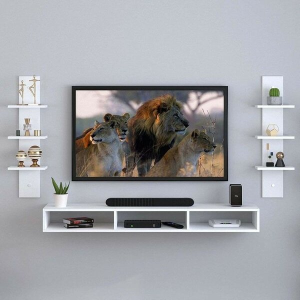 TV unit