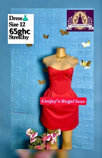 Ladies dress