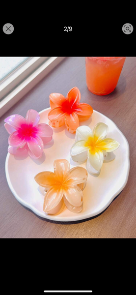 Clip floral barrette