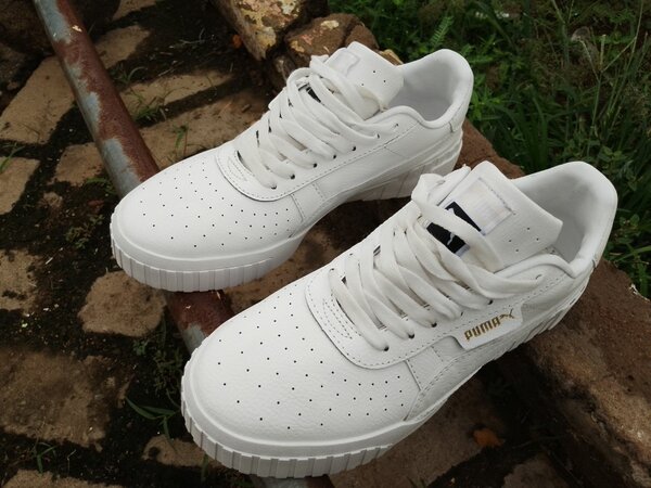 Puma canvas