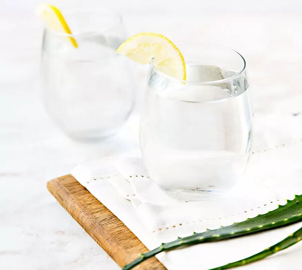 AloeMax (473 ml)