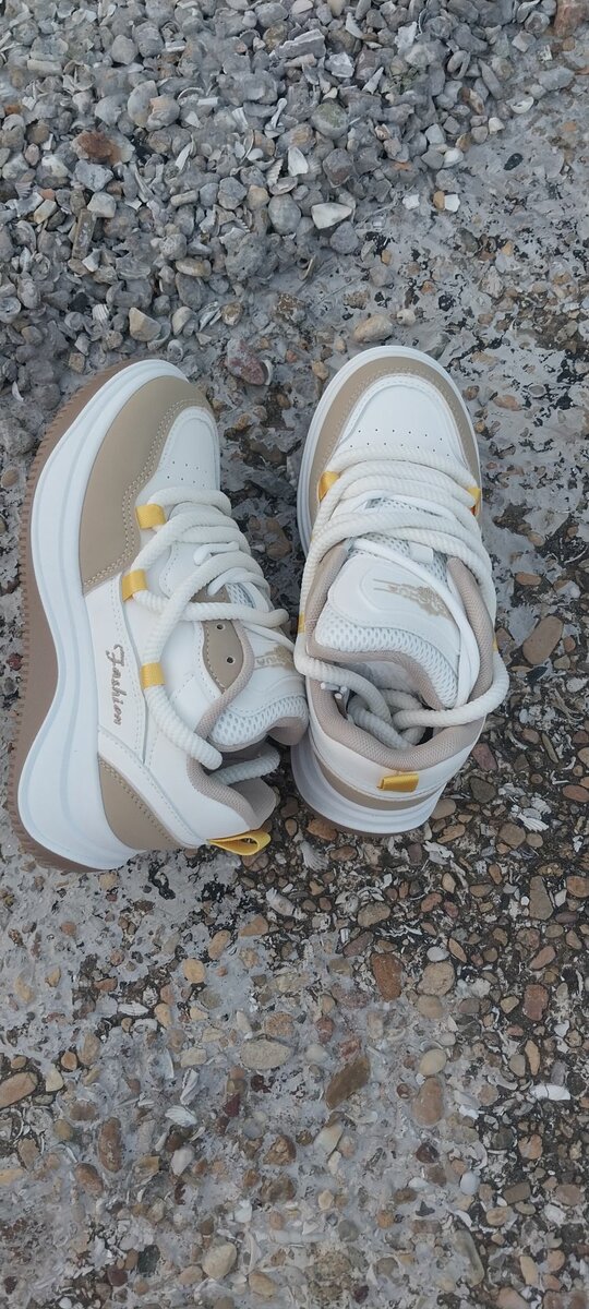 Fashion Sneakers