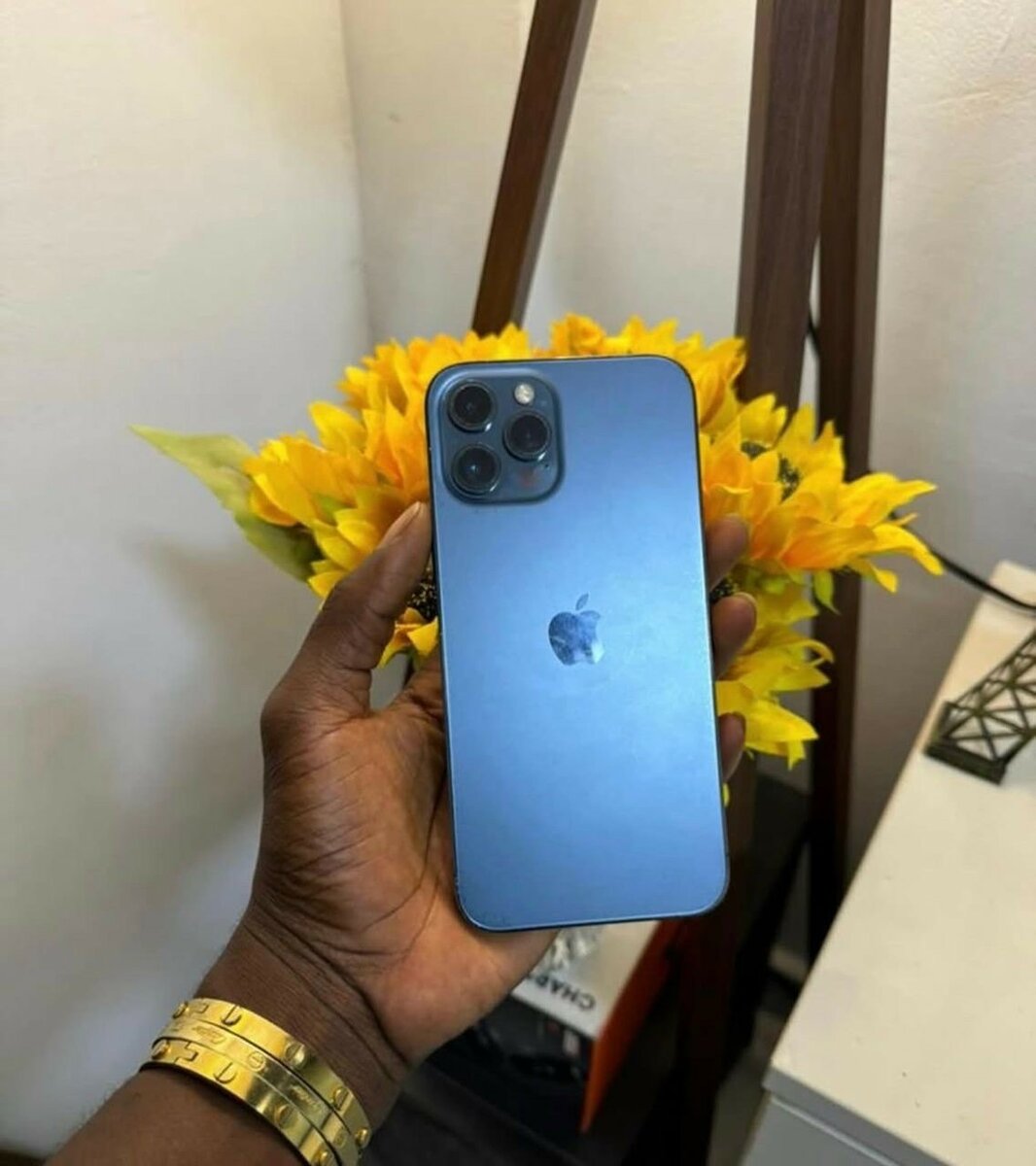 iPhone 13pro max