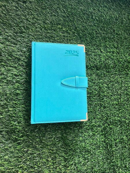 2025 Diaries