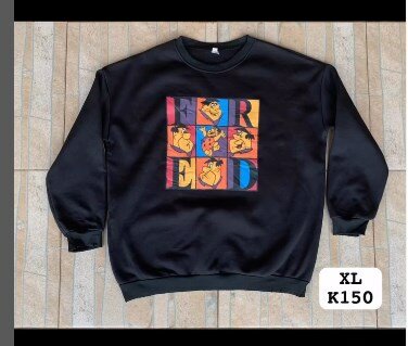 sports hoodie  
