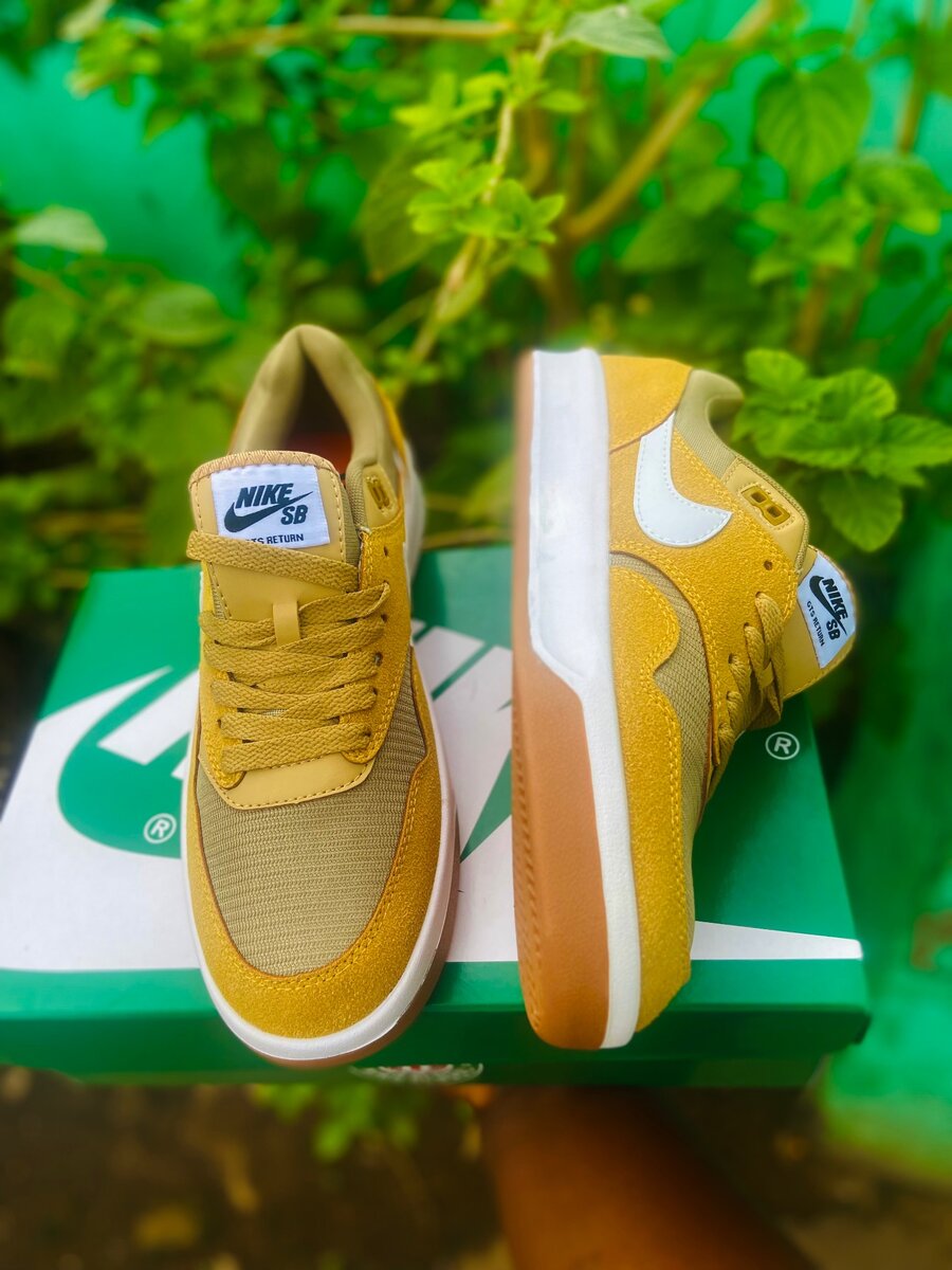 Nike SB Sneakers