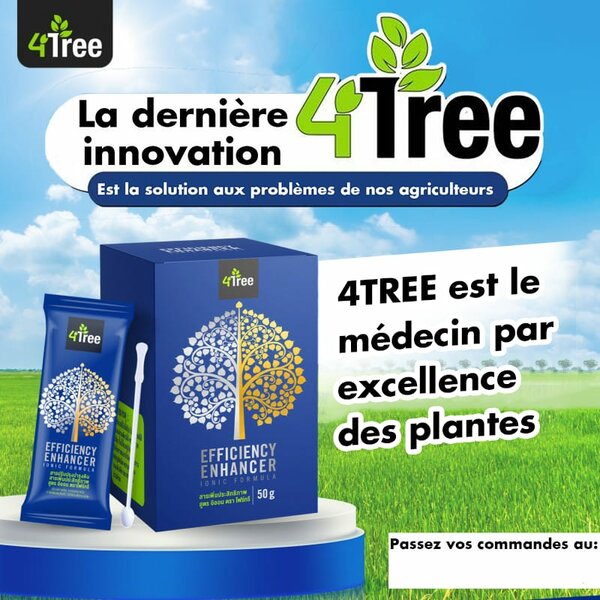 4Tree Améliorateur d'Efficacité