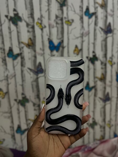 16 pro max phone case