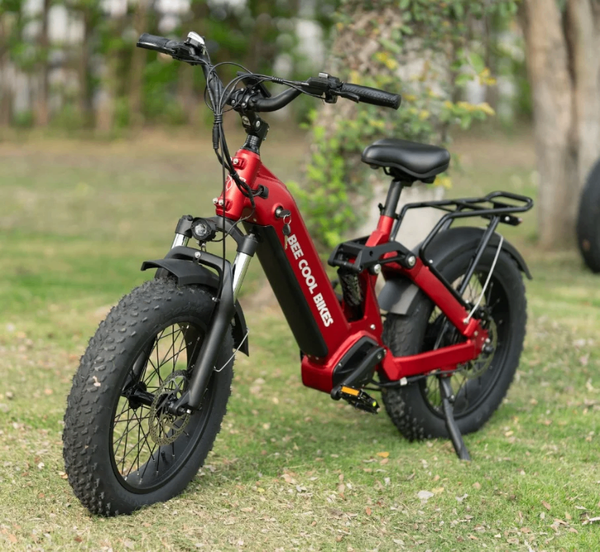 Vélo électrique tout-terrain puissant
