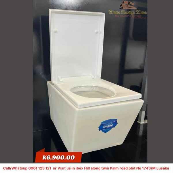 Wall hang toilet