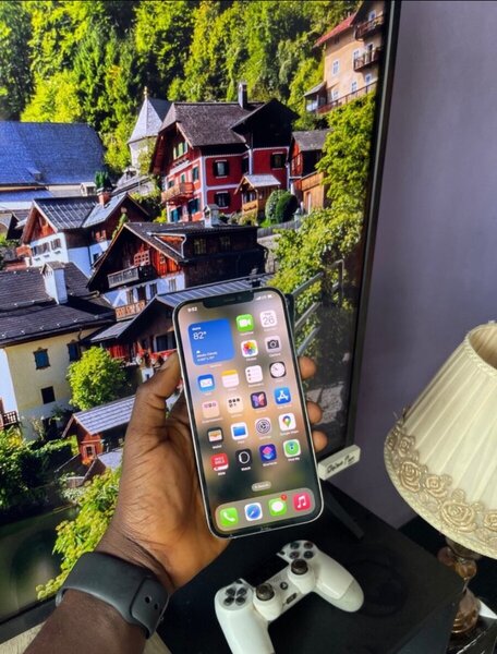 iPhone 12 Pro Max
