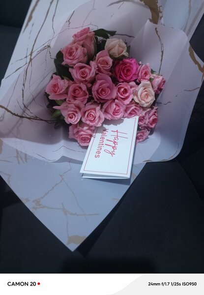 Pink Roses