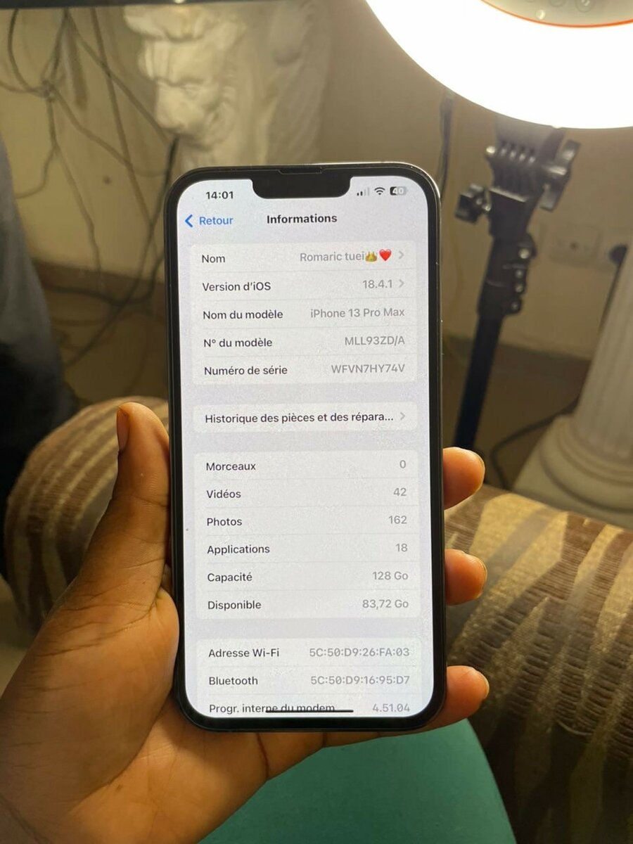 iPhone 13pro max