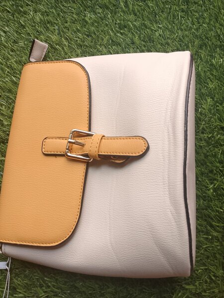 Ladies handheld bag