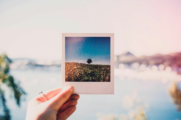 Photo polaroïde