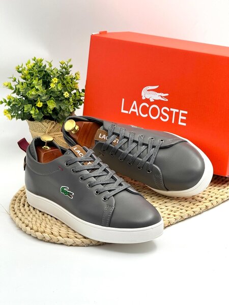 Lacoste men shoe