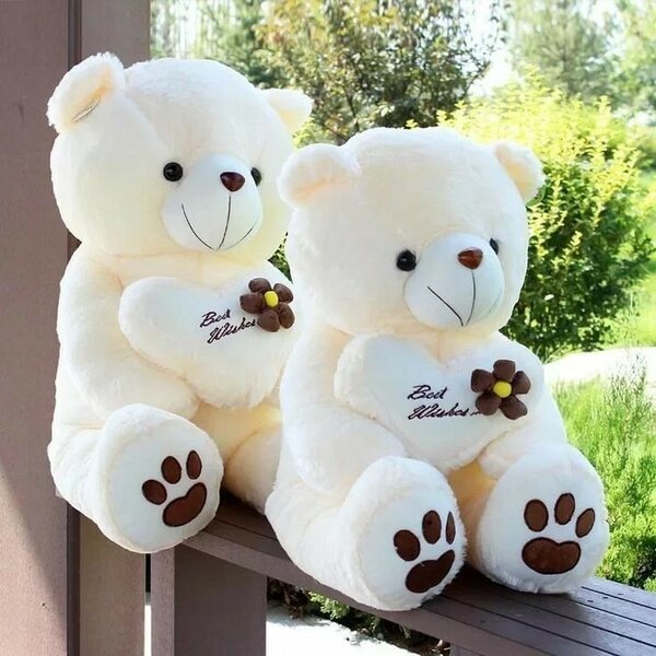 Teddy bear