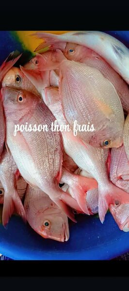 Soupe de poisson
