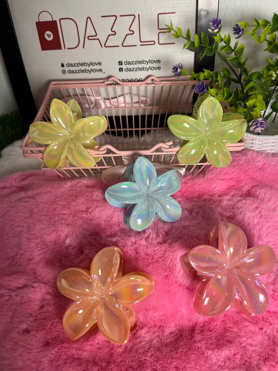 Hair clip