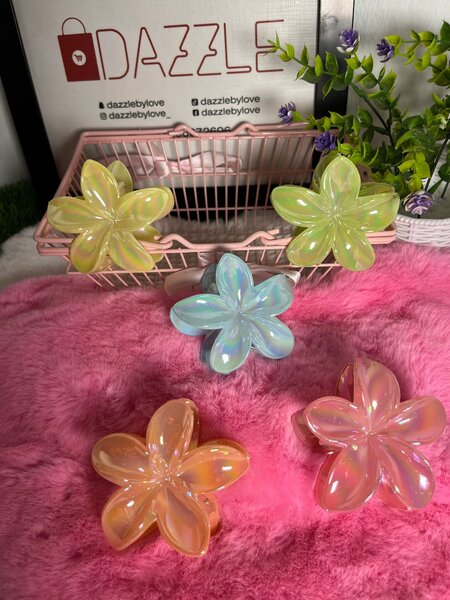 Hair clip
