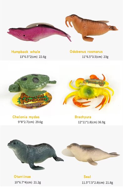 Sea Animal For Kids