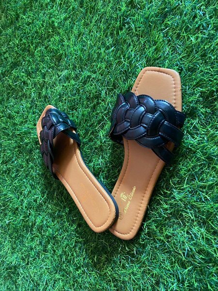 Lady's flat slipper