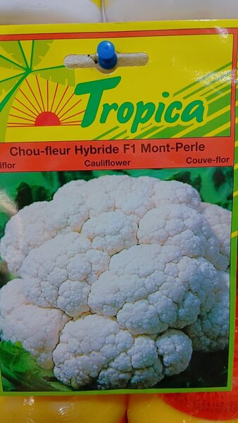 Cauliflower seeds