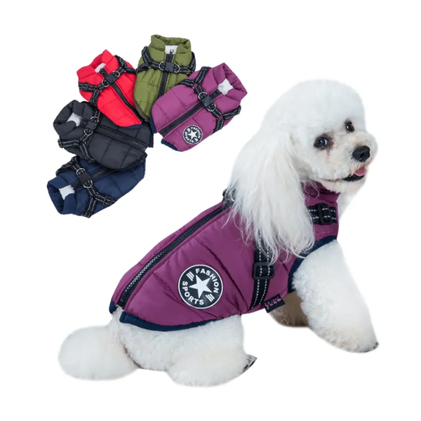 PawStyle pour Chien