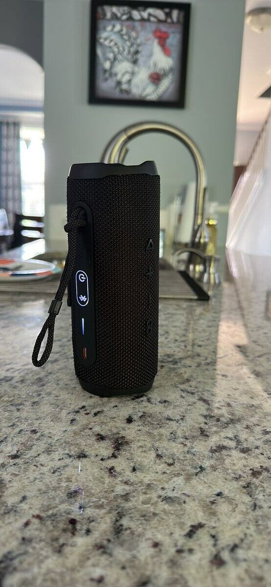 JBL Flip 6