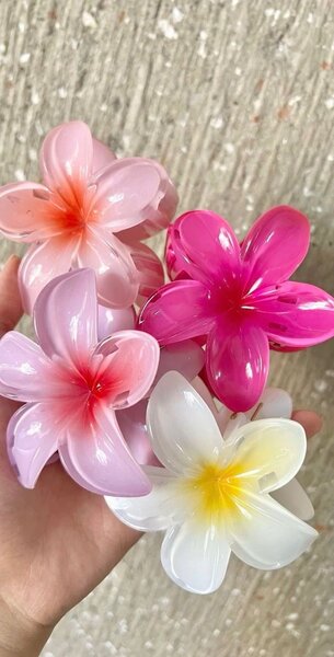 Pinces à cheveux fleurs colorées