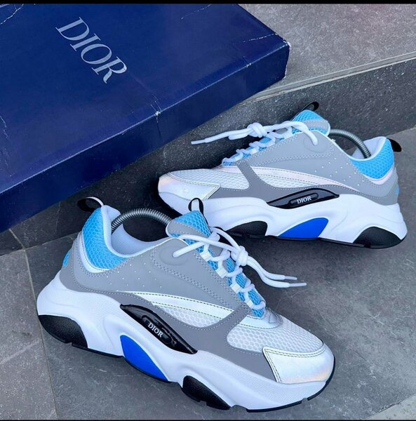 Dior sneaker