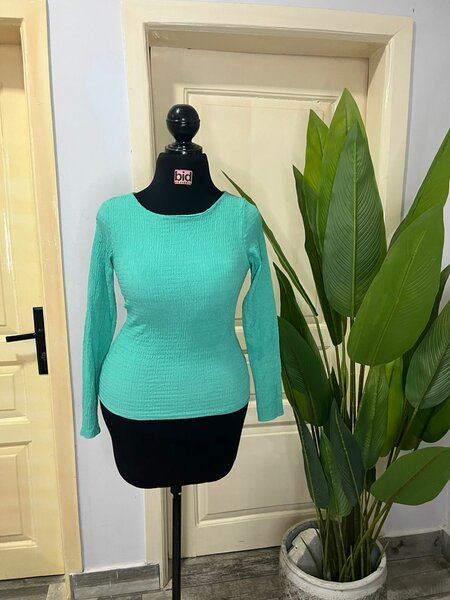 Ladies top