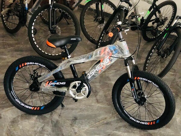 20 inch bike