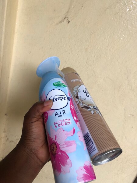 Air freshener