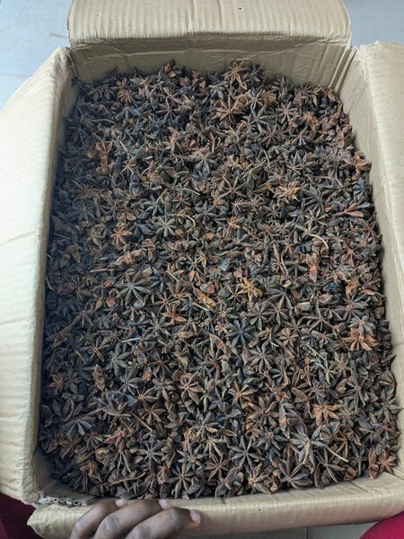 Anis étoilé 250 g