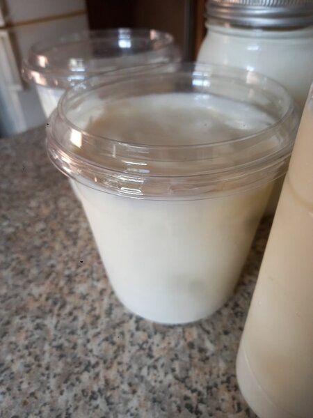 Couscous yogurt
