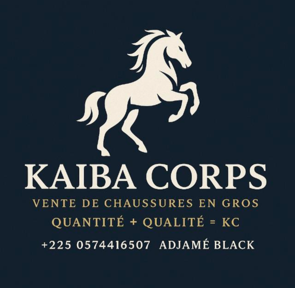 Kaiba corps 