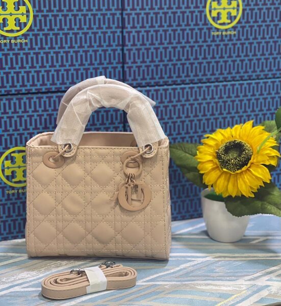 Ladies bags