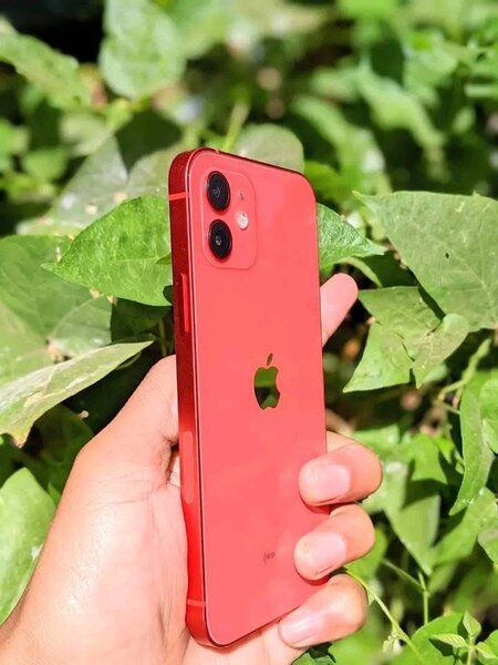 IPHONE 12 simple