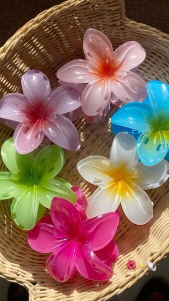 Pinces à cheveux fleurs colorées