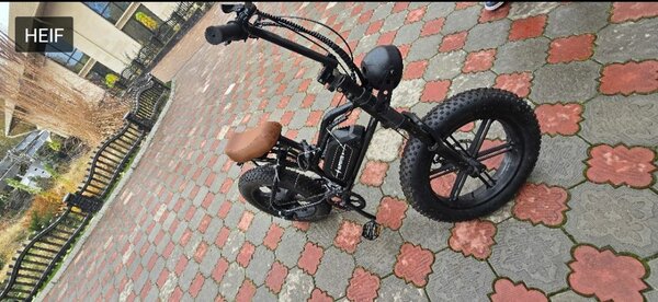 Fet bike