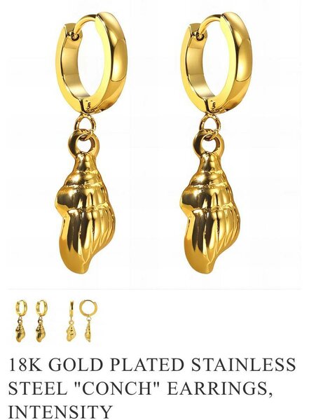 Stainless earrings