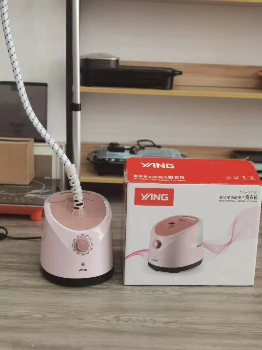 Steam iron