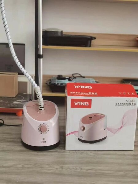 Steam iron