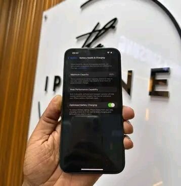 iPhone Pro Max 256GB Vert