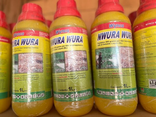 Uwura wura