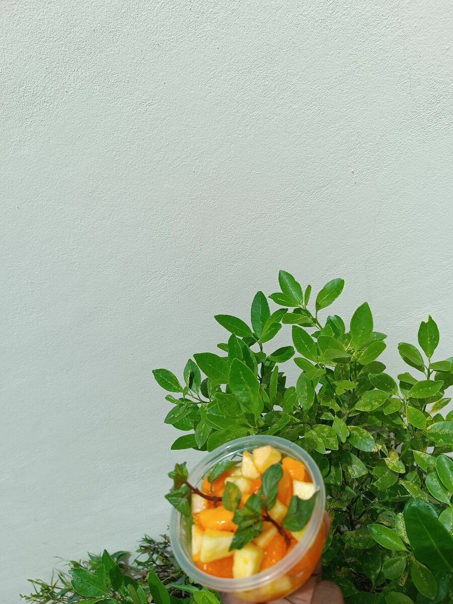 Salade de fruits